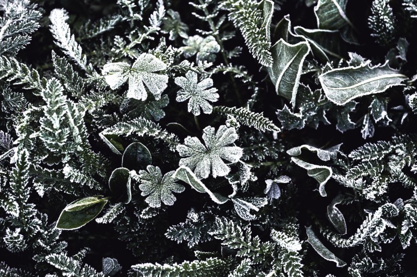 Майским утром - Людмила Желтова