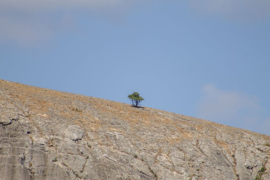 Свободный - Алина