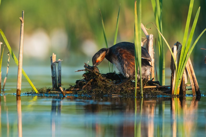 Тихая гавань -  