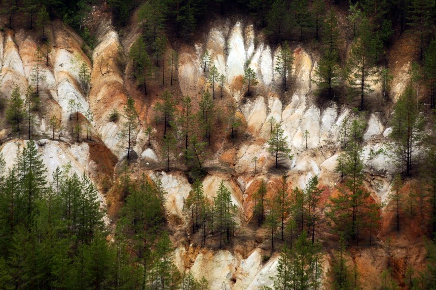 Противостояние - Егор Пономарев
