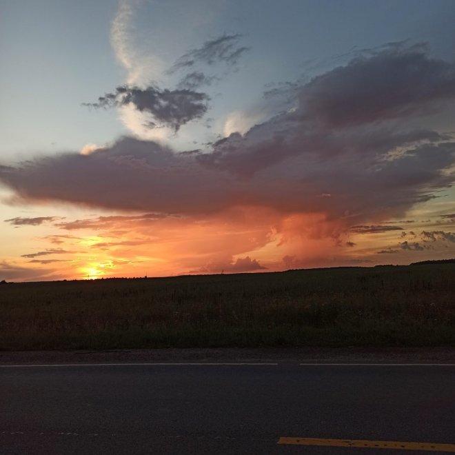 Розовый дождь - Алёна Смирнова