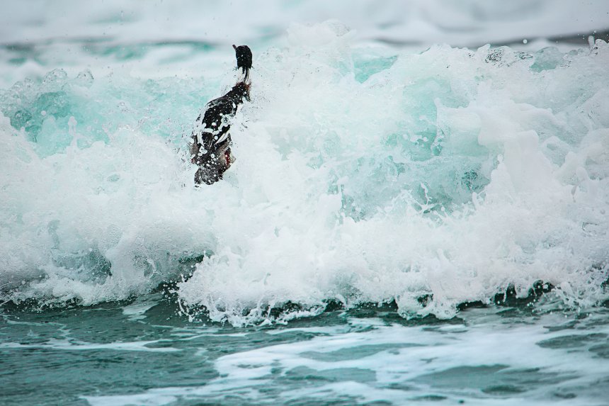 Борец с волной -  