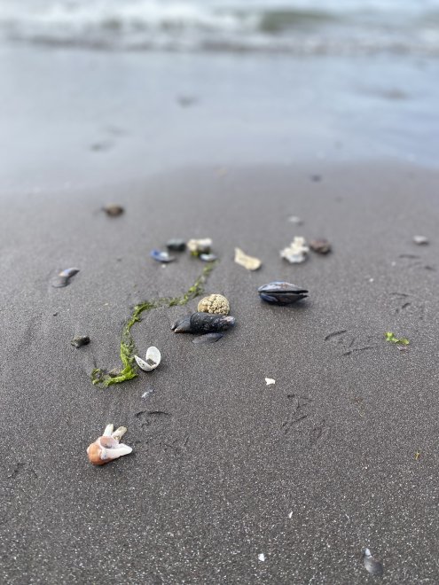 Ожерелье Сирены -  