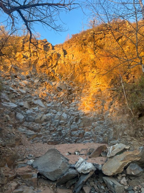 путешествие по лесу - Александра (1/4)