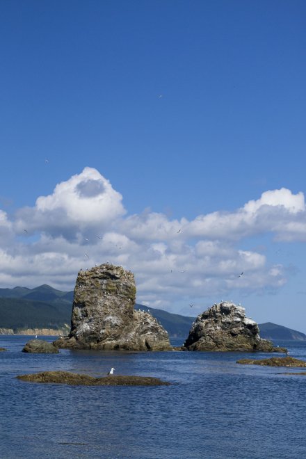 Путешествие чайки на Сахалине -   (1/5)