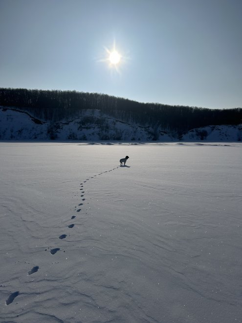Волга в снегу - Anna Ermak
