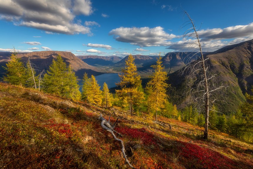 Краски осени на Плато Путорана - Александр Пашеничев
