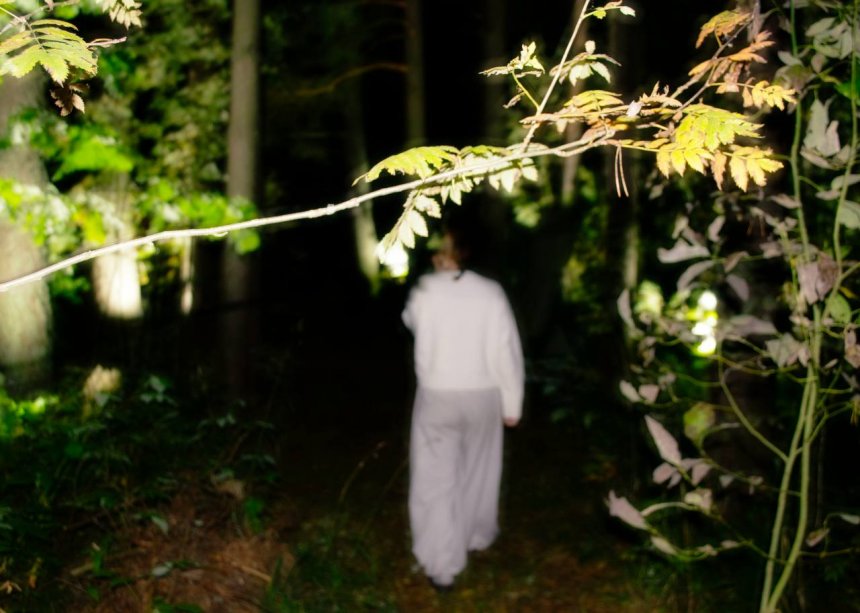 Путешествие в Карелию -   (1/5)