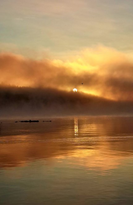 Золото восхода. - Галина