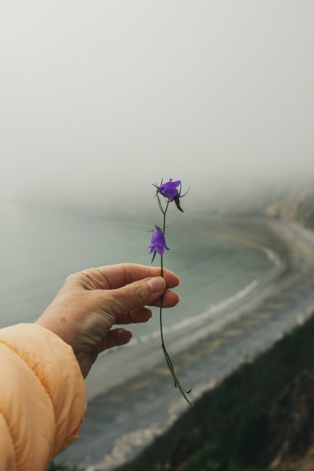 Мой нежный Север - Наталья