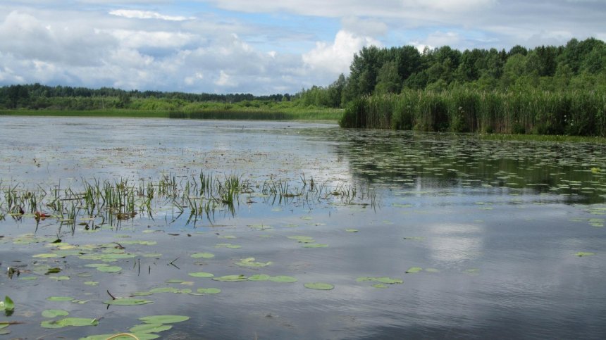 Окуловское озеро -  