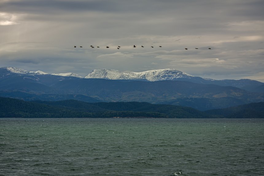 Пора в теплые края. - Игорь Кузнецов
