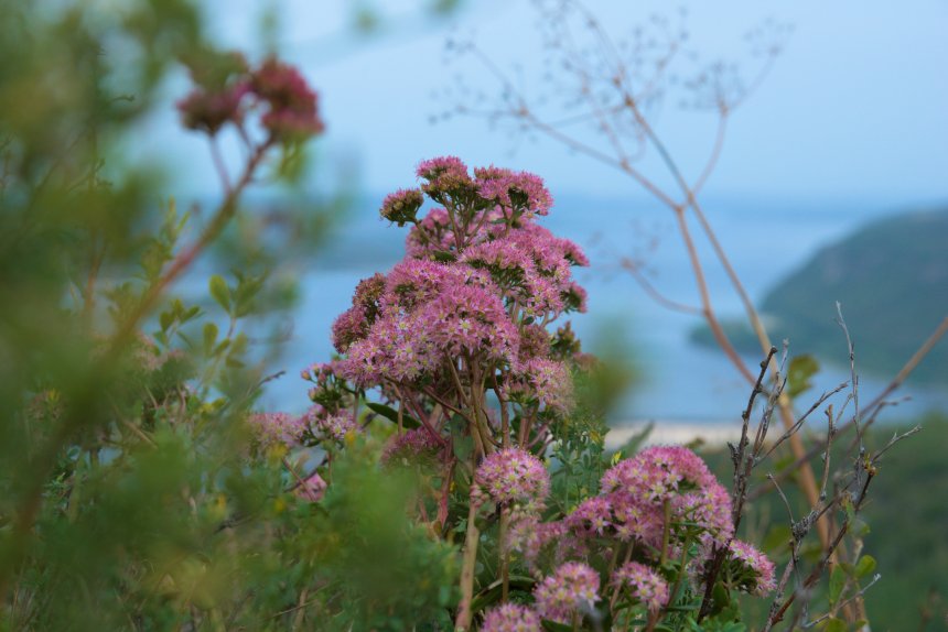 Жизнь на краю - Артем