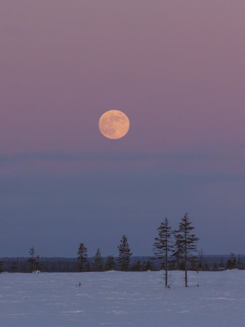 Лунная соната -  