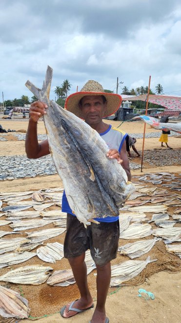 Рыбный рынок - Александра