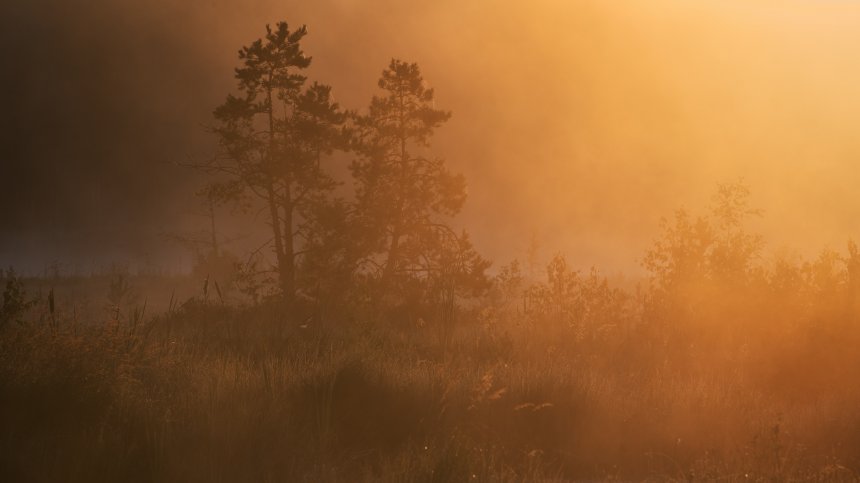 На рассвете -  