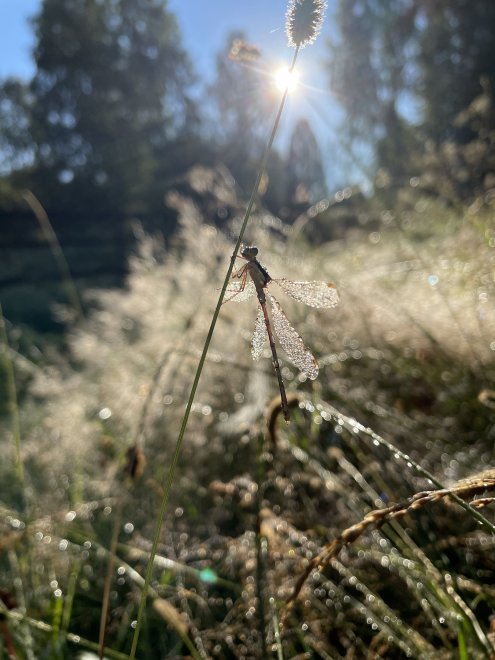 Тишина - Любовь