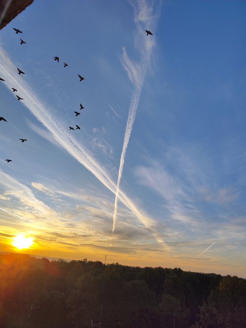 Восход солнца - Юлия