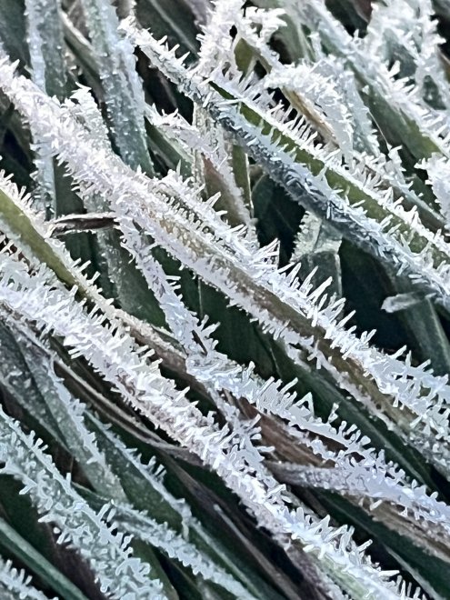 Кристаллы - Михаил