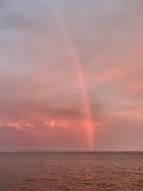 Розовая радуга. - Галина