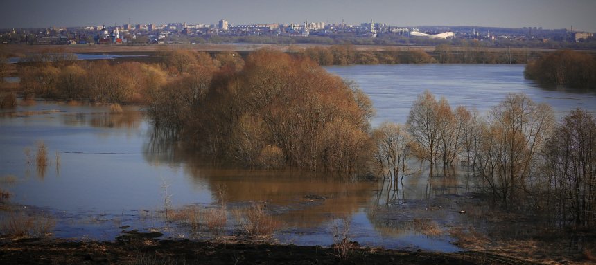 Коломна на ладони -  