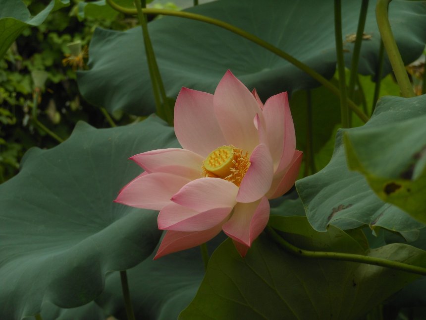 Тонкость момента -  