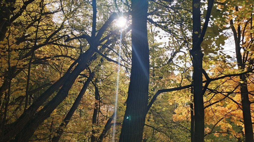 Там, где солнце порождает месяц - Анастасия