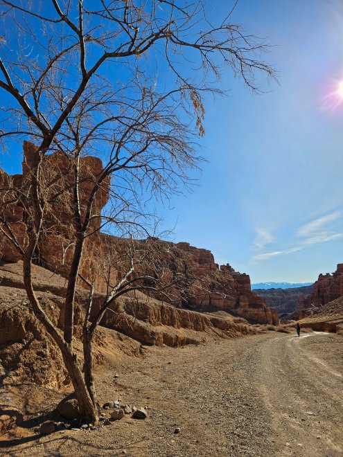 Весна в каньоне -  