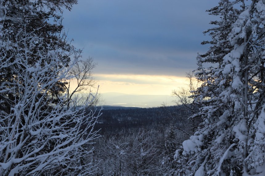 Волшебство зимы -  