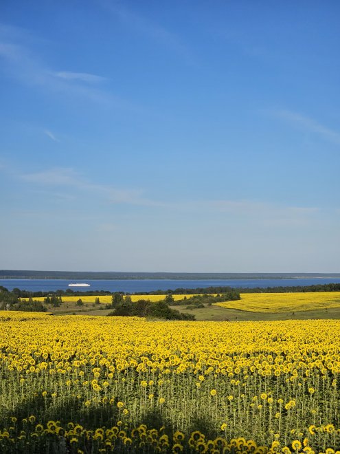 Июль в золоте -  