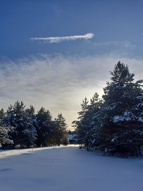 «Затерянный мир» - Ольга