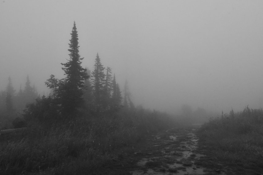 В объятия вечного тумана -   (1/6)