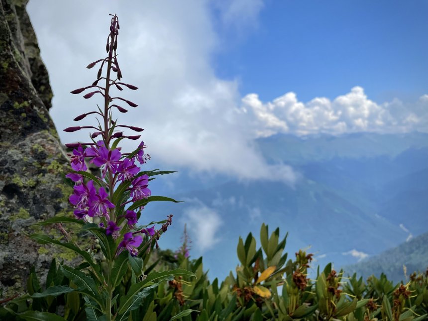 Дыхание высоты - Светлана