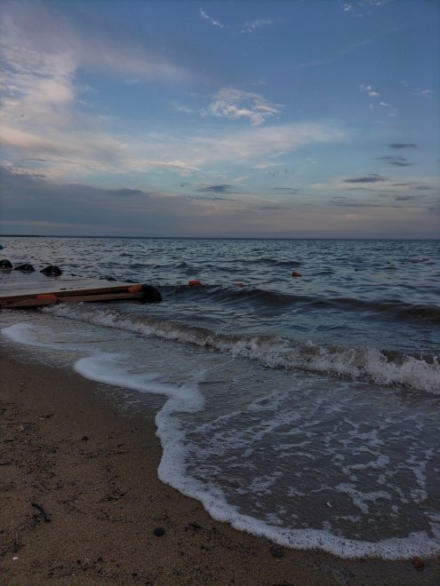 Берег озера Ярового|Shore of Lake Yarovoye -  