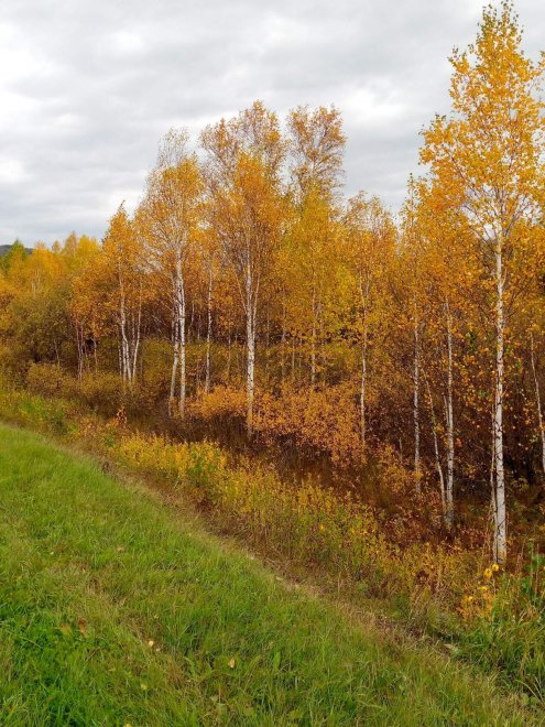 Осень... - Смолина Юлия