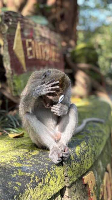 Мне этот мир абсолютно понятен… -  