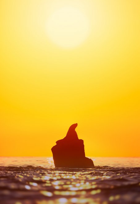 На заре - Евгений Табалыкин