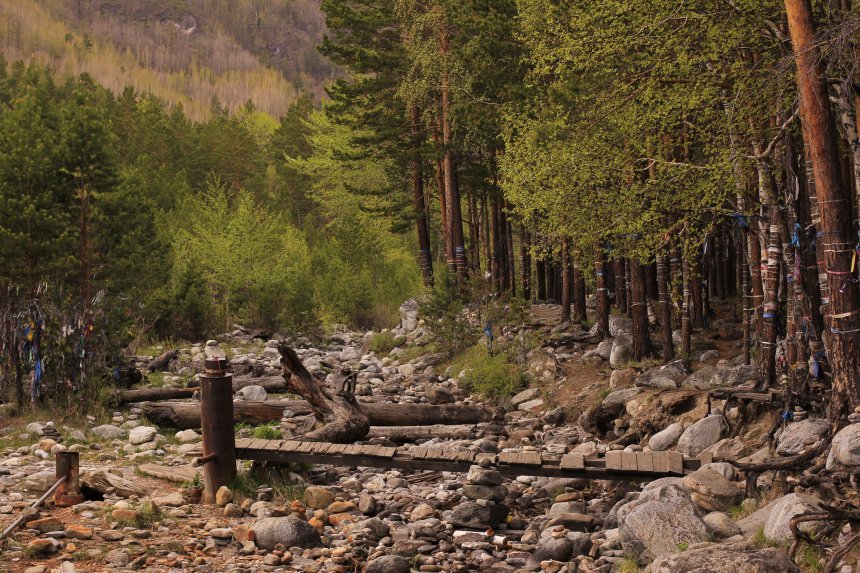 Сухое русло - ELENA