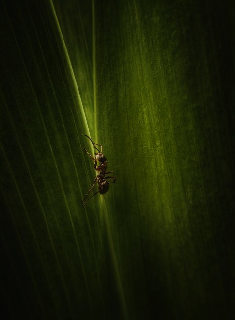 На встречу свету - Андрей Васильев