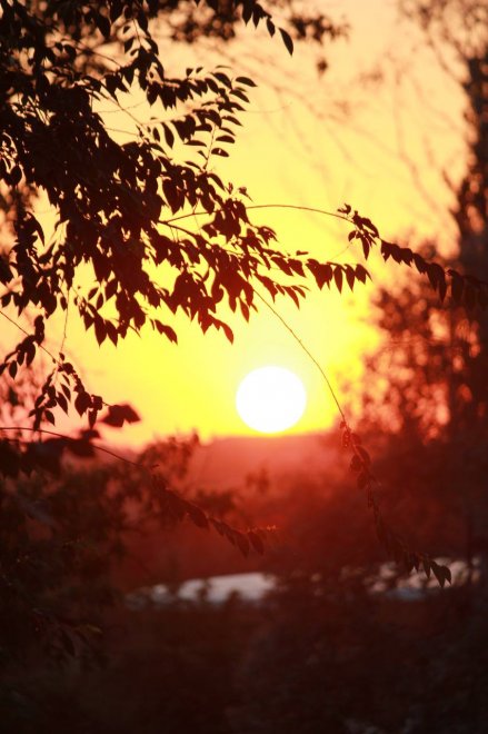 В объятиях заката - Андрей