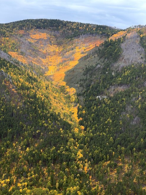 Кто-то вылил краски -  