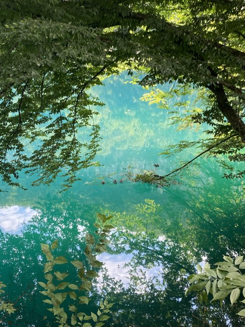 голубые озера с уточками -  