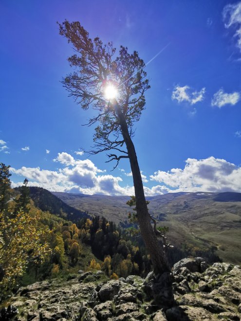 Луч солнца золотого - Златослава Выборных