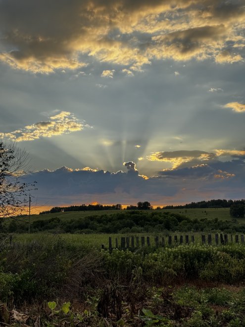 Сибирские просторы - Якунина Татьяна