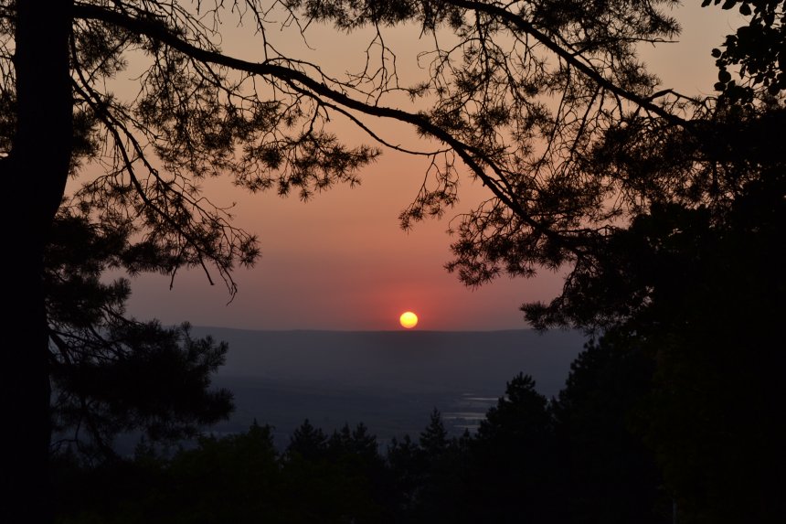 Красное солнышко - Элла