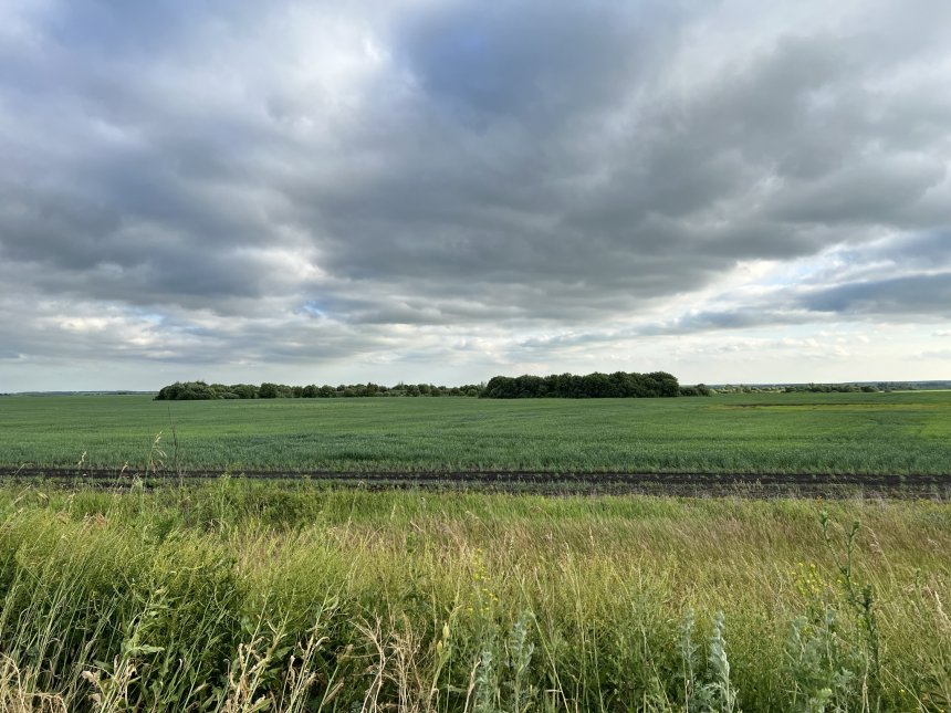 Рязанские просторы -  