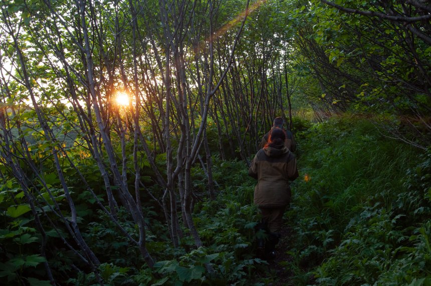 Остров Симушир - in the middle of nowhere -   (1/7)