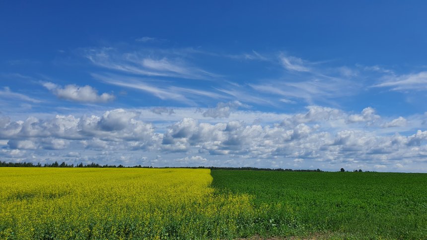 Русское поле -  