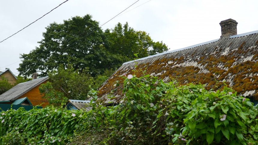 Старый Изборск - Татьяна Михайловна Новикова (1/7)