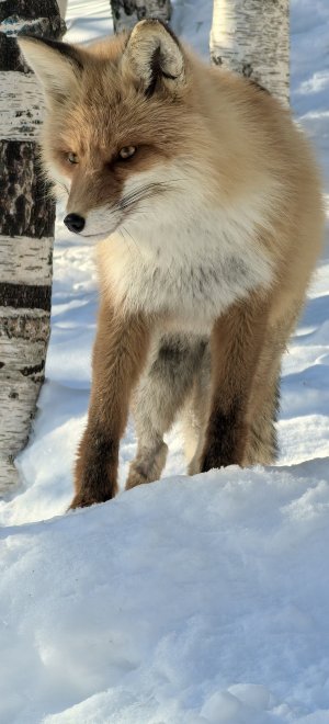 Неожиданная встреча - Дмитрий